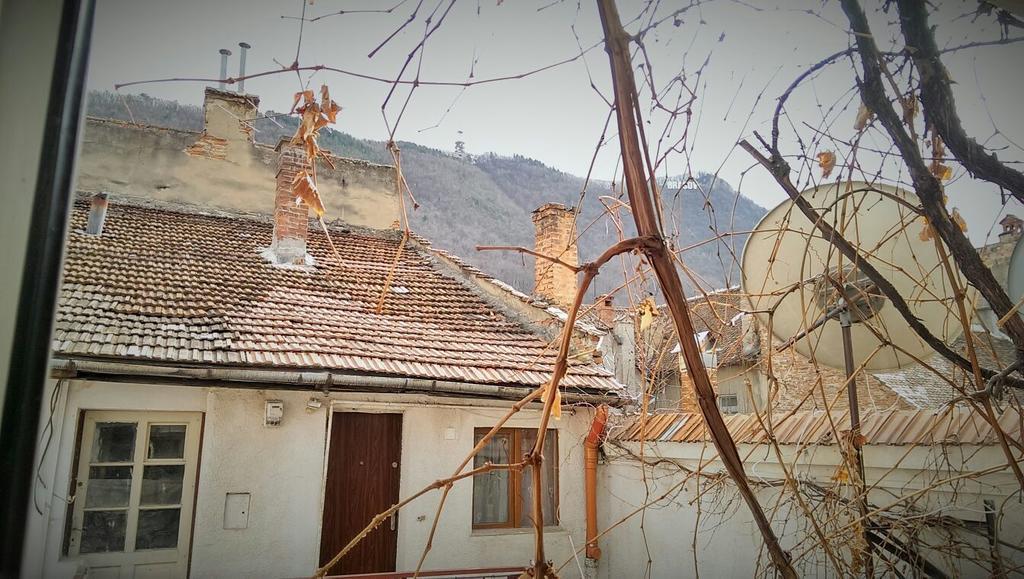 Fantasy Residence Брашов Экстерьер фото